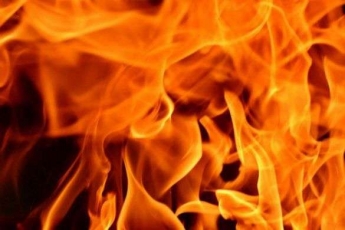 В Запорожской области 5 спасателей тушили пожар в частном доме (фото)