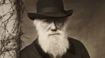 Библиотека потеряла блокноты Чарльза Дарвина - пропажа стоит миллионы, но о ней узнали 20 лет спустя