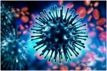 Ученые обнаружили новый коронавирус в Азии, который проливает свет на появление COVID-19