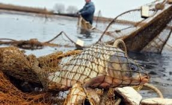 В Запорожской области задержали браконьера с 50 кг рыбы (фото)