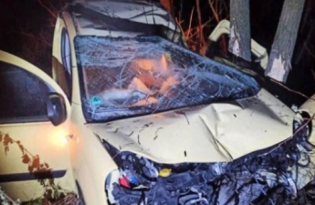 Под Черниговом преступник украл авто и разбился на нем насмерть: фото