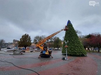 В Запорожье начали устанавливать главную городскую елку (фото)