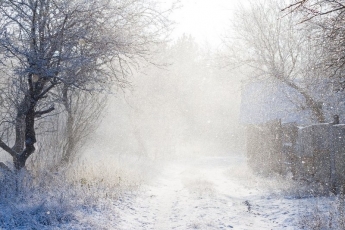 Запорожский фотограф показал зимнюю Хортицу (фото)