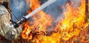 В Запорожской области во время пожара погибла 79-летняя женщина (фото)