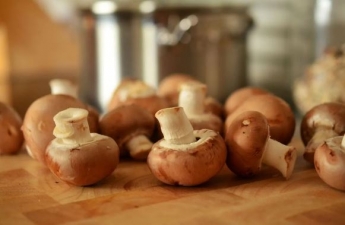 Помилки під час приготуванні грибів, які роблять їх смак гумовим