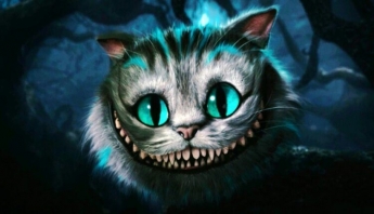 Курьезы. В Запорожье живёт кот, который умеет улыбаться (ФОТО)