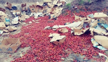 В спальном районе Запорожья выбросили более 100 кг гниющих овощей (фото)