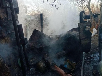 В Запорожской области 8 спасателей тушили пожар в частном доме (фото)