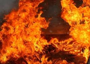 В Запорожской области во время пожара погибла женщина (фото)