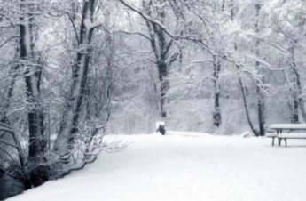 В Украину идет серьезное потепление: синоптик назвал дату, когда морозы отступят