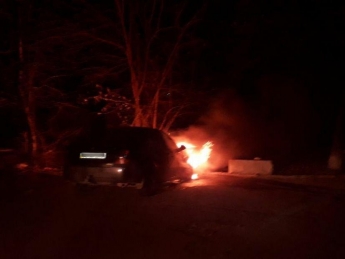 Ночью в Запорожье сгорели две иномарки (фото)