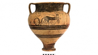 Археологи на Кипре нашли массовое захоронение: ему тысячи лет, фото