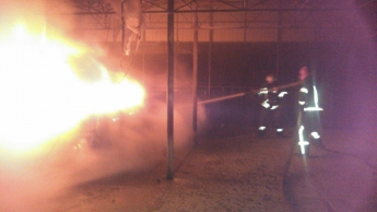 В Мелитополе во дворе частного дома сгорела иномарка (фото)