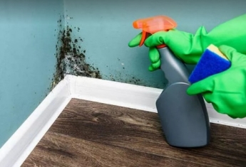 Как убрать плесень в квартире: проверенные способы