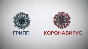 Грипп и коронавирус: что общего и чем отличаются