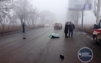 В ДТП в Донецкой области погиб ребенок (фото)