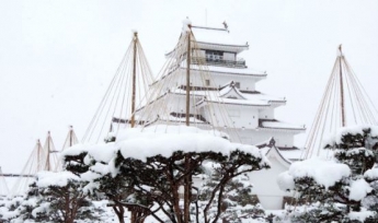 На Японию обрушился мощный снегопад, много пострадавших: фото и видео 