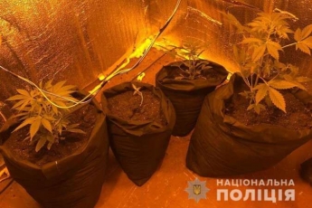 Житель Днепропетровщины оборудовал в квартире мини-теплицу, где выращивал коноплю: фото