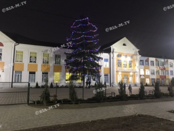 В Мелитополе в школьном дворе украсили одну из самых больших городских елок (фото)