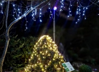 В Запорожском ботаническом саду царит праздничная атмосфера (фото,видео)