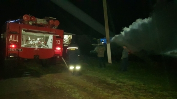 В Запорожской области в масштабном пожаре сгорело 700 тюков соломы (фото)