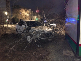 В городе Запорожской области в результате гололеда автомобиль снес дерево (фото, видео)