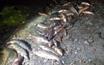 Браконьеры в Запорожской области наловили рыбы на 40 тысяч гривен (фото)