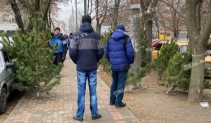 В Мелитополе перед Новым годом исчезли елки (фото, видео)