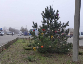 На окраине Мелитополя появилась своя елка (фото, видео)