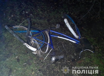 В Веселовском районе легковушка насмерть сбила велосипедиста (фото)