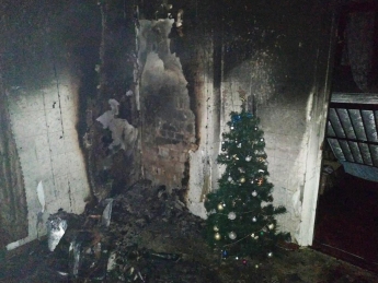 В Запорожье спасатели вынесли из горящего дома собаку и вернули ее к жизни
