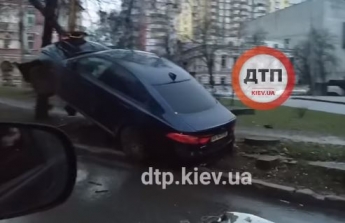В Киеве авто "залетело" на дерево: видео необычного ДТП