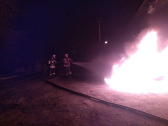 В Запорожской области в новогоднюю ночь сгорел автомобиль (фото)