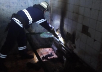 В Запорожской области при пожаре пострадал мужчина (фото)