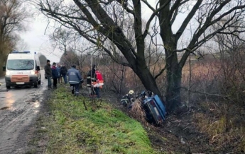 На Житомирщине авто слетело с дороги и врезалось в дерево, трое погибших