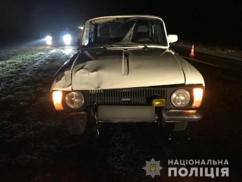 На Мелитопольской трассе насмерть сбили пешехода - полиция ищет очевидцев происшествия (фото)