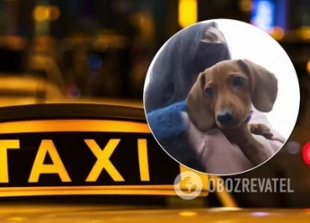 В Виннице таксист подрался с пассажирами из-за собаки. Видео