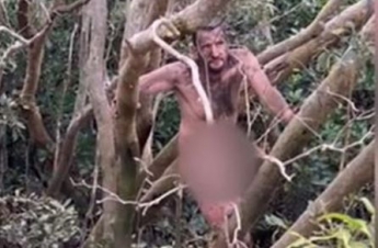 В Австралии спасли голого грабителя, несколько дней прятавшегося от крокодилов на деревьях (видео)