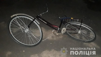 В Запорожской области сбили велосипедистку - полиция ищет свидетелей (фото)