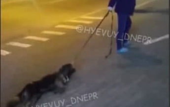 В Днепре женщина тянула по дороге собаку без признаков жизни