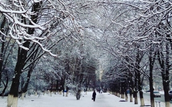 Когда в Украине снова пойдет снег: синоптик назвала дату