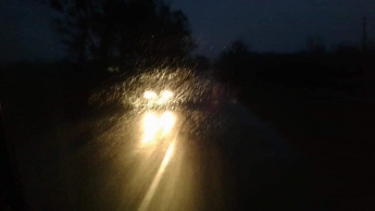 Что вечером в дождливую погоду видит водитель - фото видео для беспечных пешеходов и велосипедистов (фото)