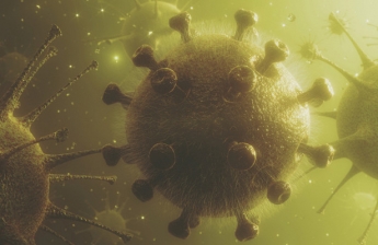 На тяжесть коронавируса влияет тип кишечных бактерий 