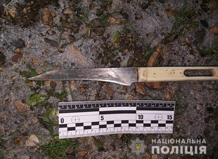 В Запорожской области мужчина пырнул ножем бывшую супругу (фото)