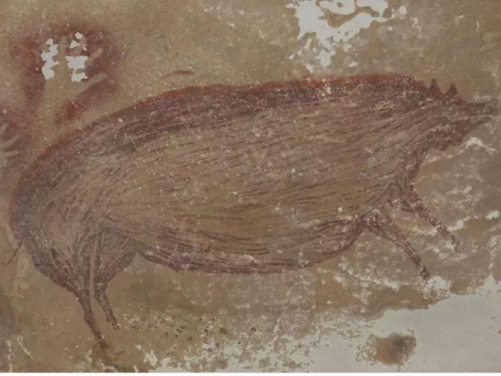 Метровый кабан: археологи обнаружили древнейший наскальный рисунок (видео)