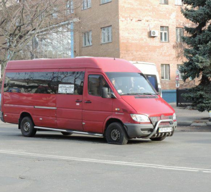 В Мелитополе пассажирка маршрутки устроила скандал - причина вас удивит (фото)