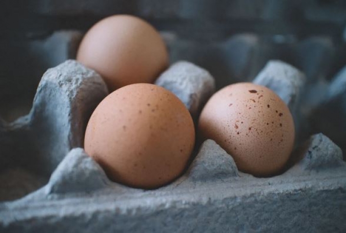 Чому не потрібно викидати картоні лотки для яєць — хитрощі від городників