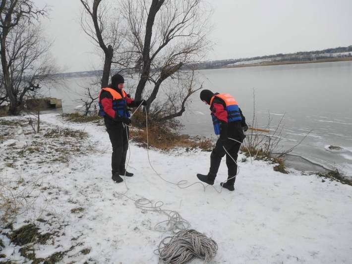 В Мелитопольском районе развернули операцию по спасению лебедя (фото)