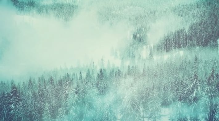 Подросток потерялся в зимнем лесу и построил себе снежную пещеру - его смекалка удивила даже спасателей
