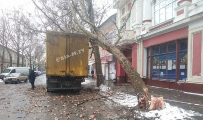 Стало известно, сколько водителю грузовика в Мелитополе придется заплатить за снесенное дерево и оборванные провода
